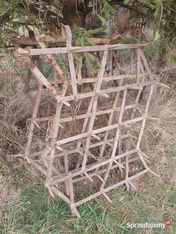 Brony 3 polowe nieuszkodzony Blizne