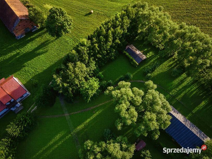 Działka Działka na Mazurach z warunkami zabudowy Gąsiorowo