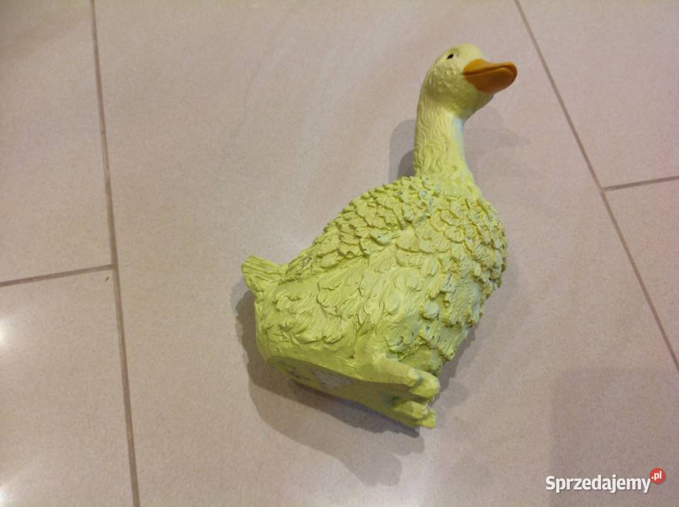 Żółta Gęś Kaczka Kaczuszka Nowa Sól sprzedam