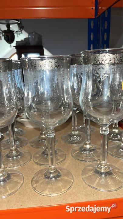 Lenox Moonspun Crystal platyna Kielich do wody Gdańsk