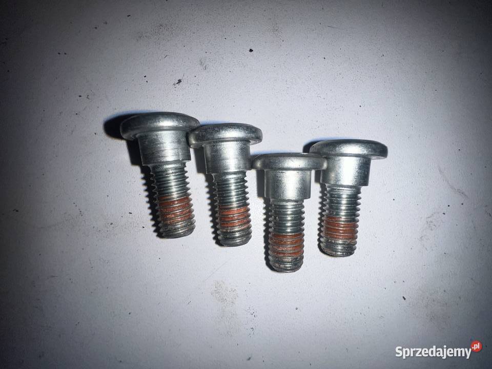 śrubki tarczy tył Honda CRF 300 Rally wielkopolskie Ostrów Wielkopolski