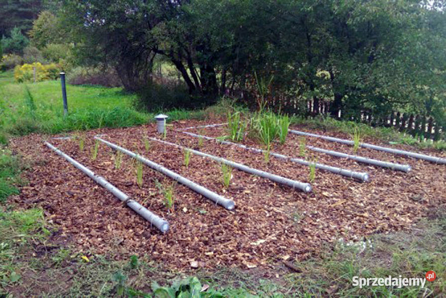 MODERNIZACJA SZAMBA NA OCZYSZCZALNIE BIOLOGICZNĄ zachodniopomorskie Szczecin