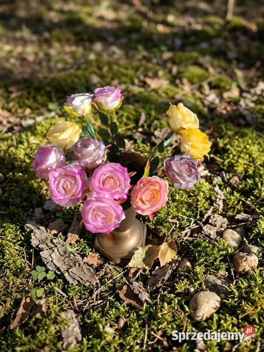 MAGICZNA RÓŻA świętokrzyskie Starachowice