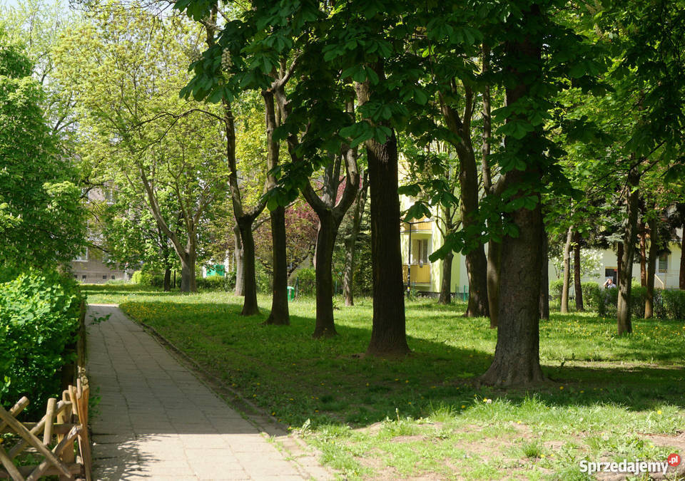 KAWALERKA WARSZAWA OCHOTA 28m2 Warszawa