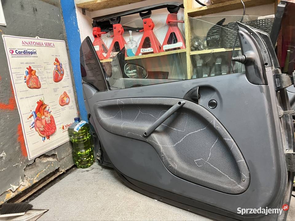 Drzwi Smart Fortwo 450 Gdynia