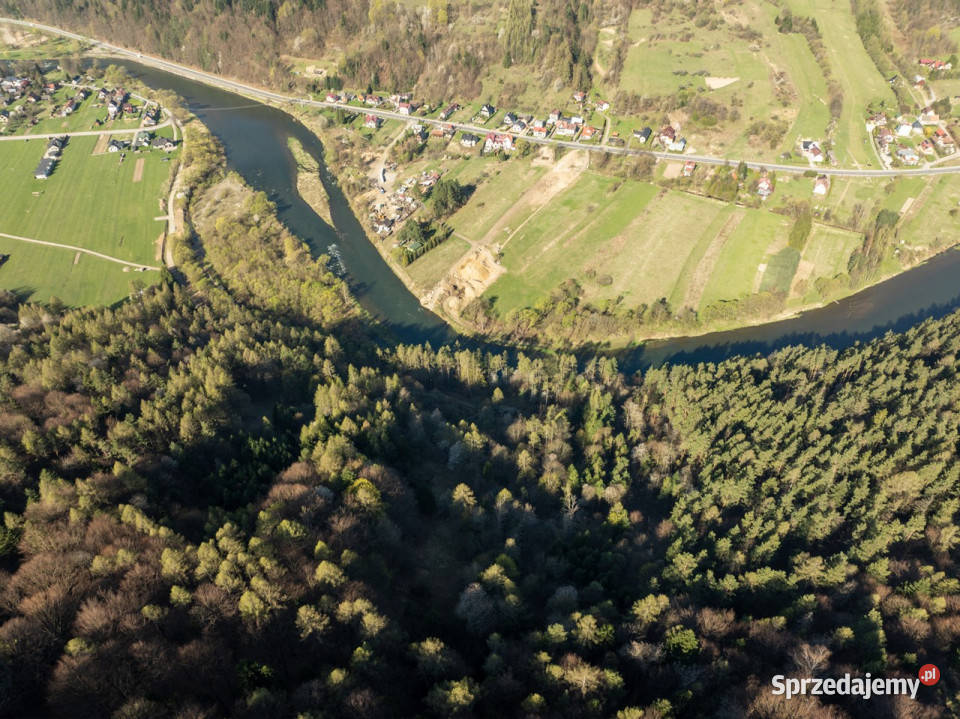 Nieruchomość gruntowa z własnym lasem 12055m2 Krościenko nad Dunajcem