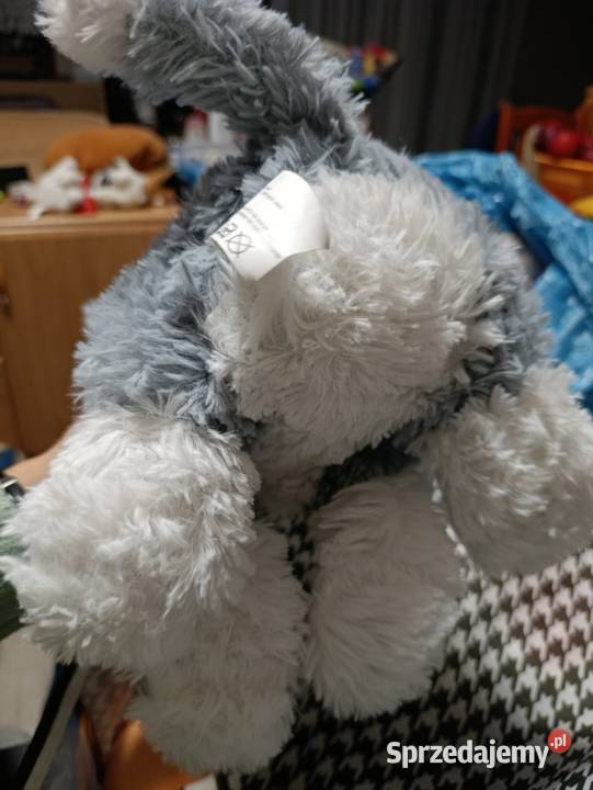 pies maskotka pluszak zabawka pluszowa Poznań