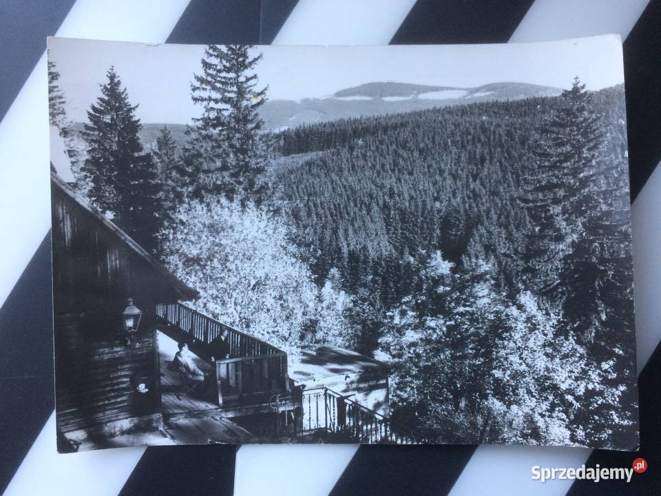 1118 Widokówka Międzygórze Szczecin sprzedam