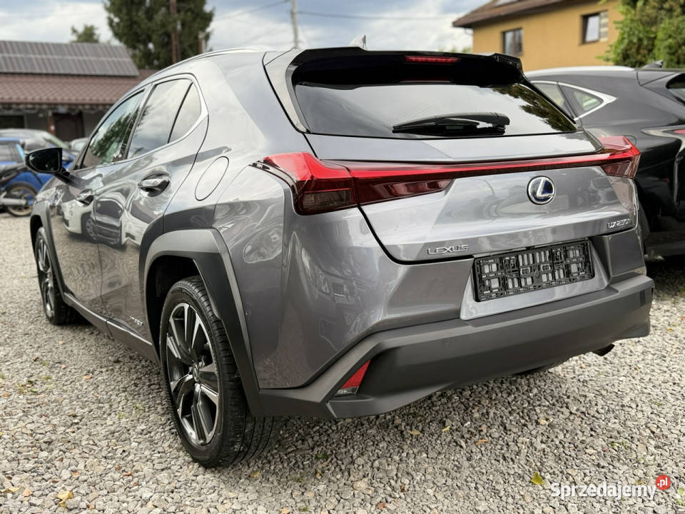 Lexus UX 20 Hybrid Skóra Ful LED Premium