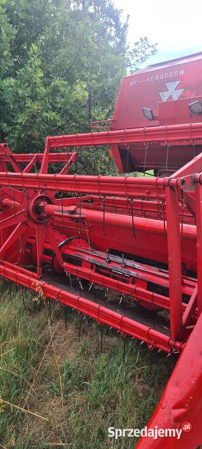 Massey Ferguson 487 małopolskie Brzesko sprzedam