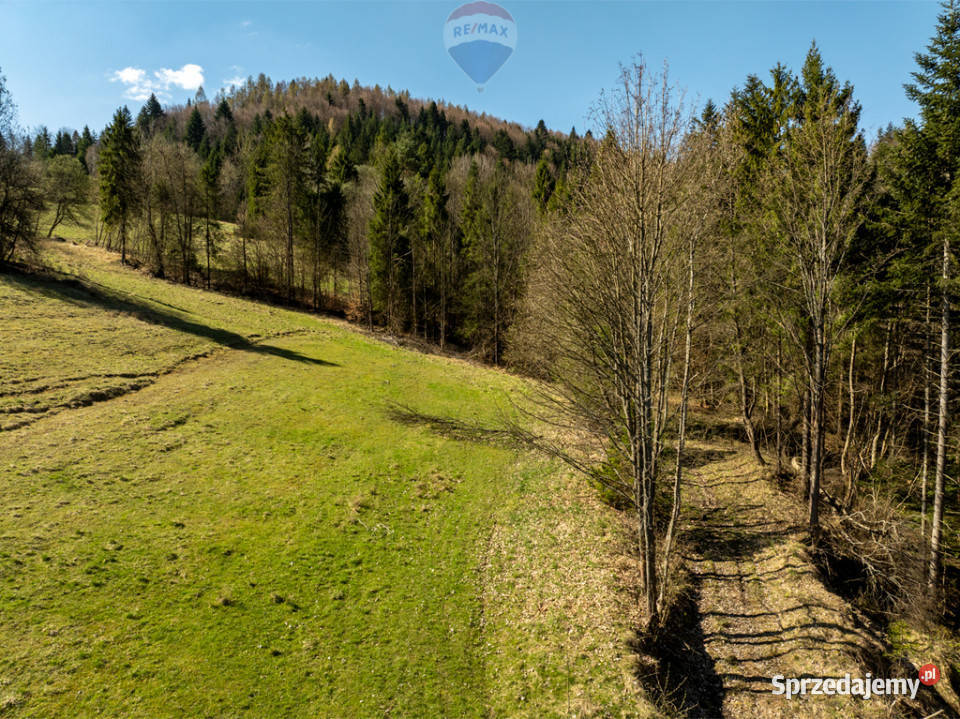 Działka widokowa Szlachtowa ok 4395 m
