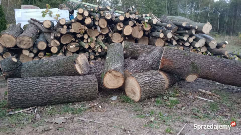 Drewno opalowe Kałuszyn