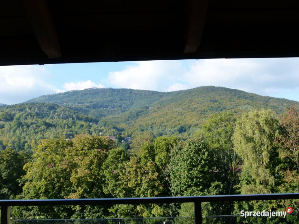 Sprzedam segment w zabudowie szeregowej plus