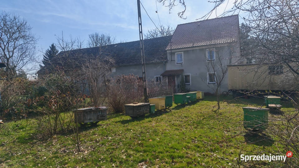 Sprzedam dom w spokojnej okolicy niedaleko lasu piwnica Trójca