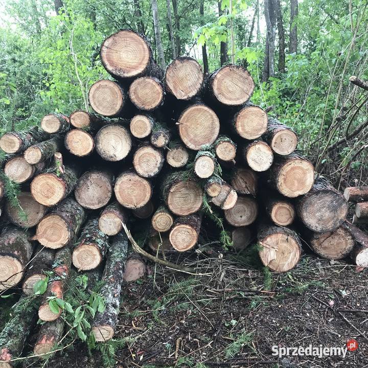 Drewno kominkowe opałowe budulec dł Jesion Dąb