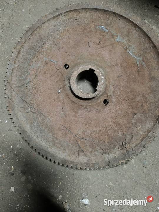 Koło zapadkowe skośne do rozrzutnika obornika Chwalęcin