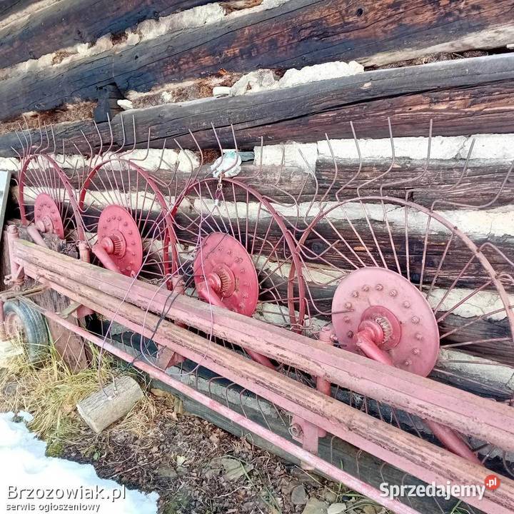 grabarka do siana gwiazdy Wesoła