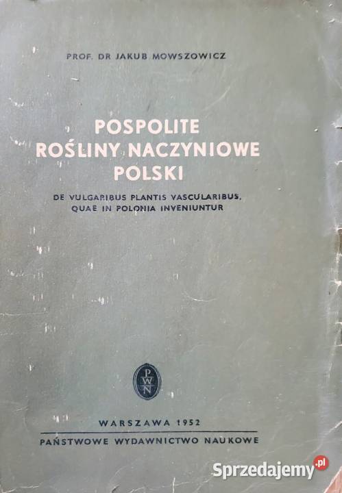Pospolite rośliny naczyniowe Polski Jakub Wrocław
