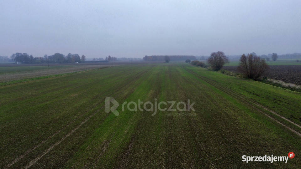 Grunt Drewnica Wierzbowa 3012m2