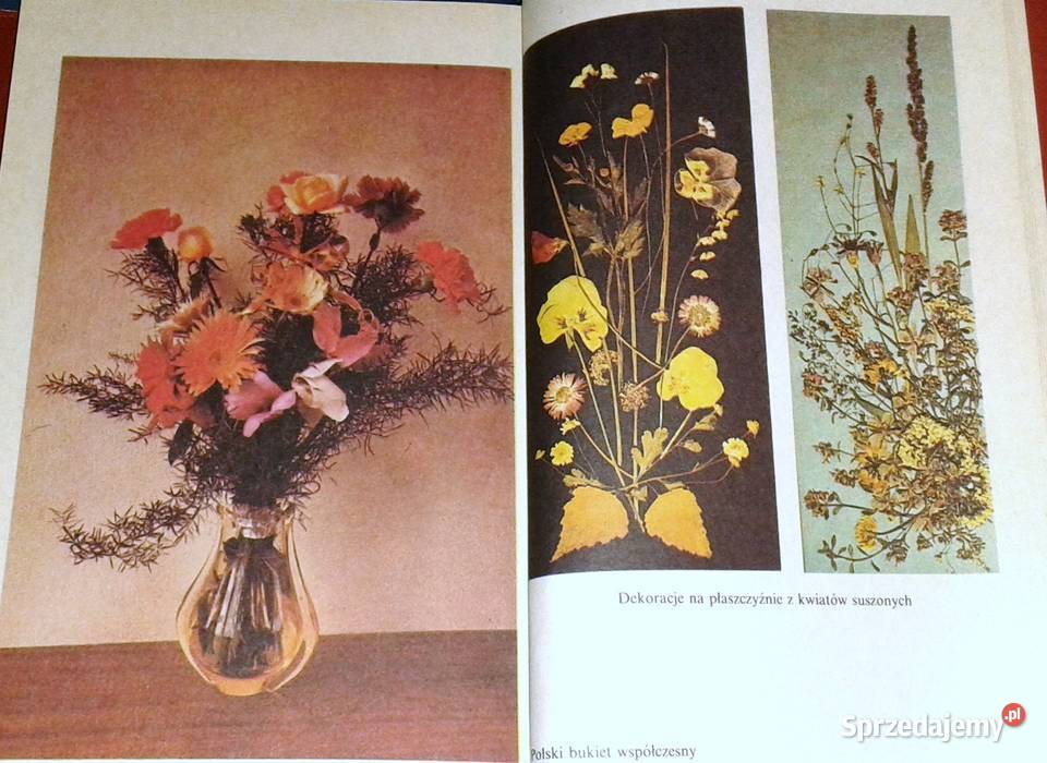 Dekoracje roślinne Miczyńska SzarkowskaHoffmann