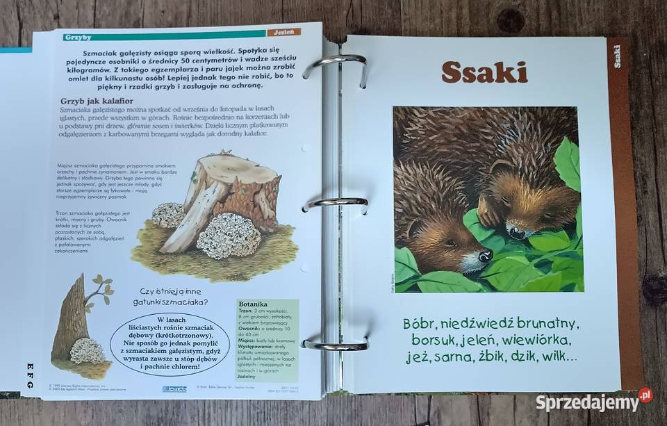 Leśne przygody segregator album DeAgostini Zbylitowska Góra sprzedam