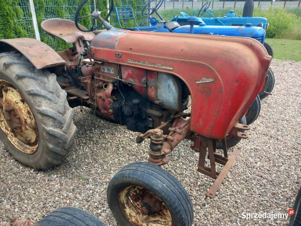 Porsche Porsche Buk