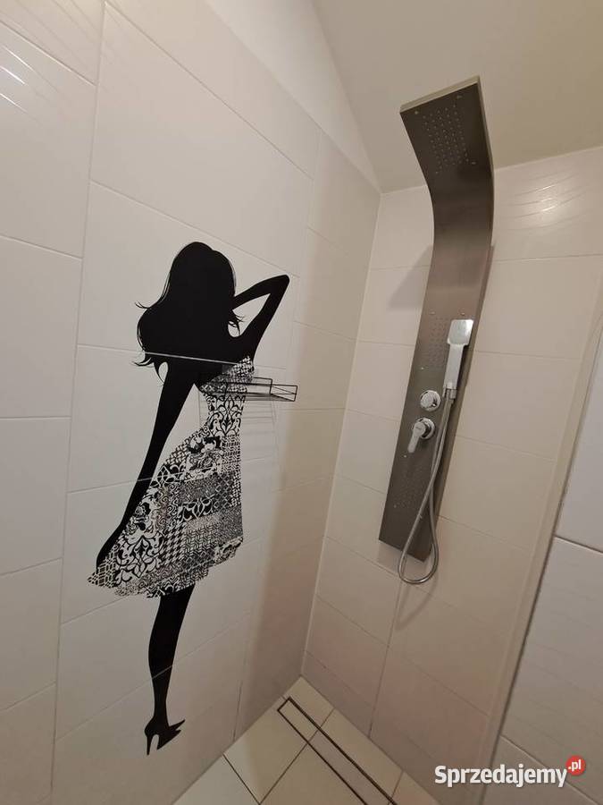 Wynajem dom mieszkanie Niskowa parterowy Chełmiec