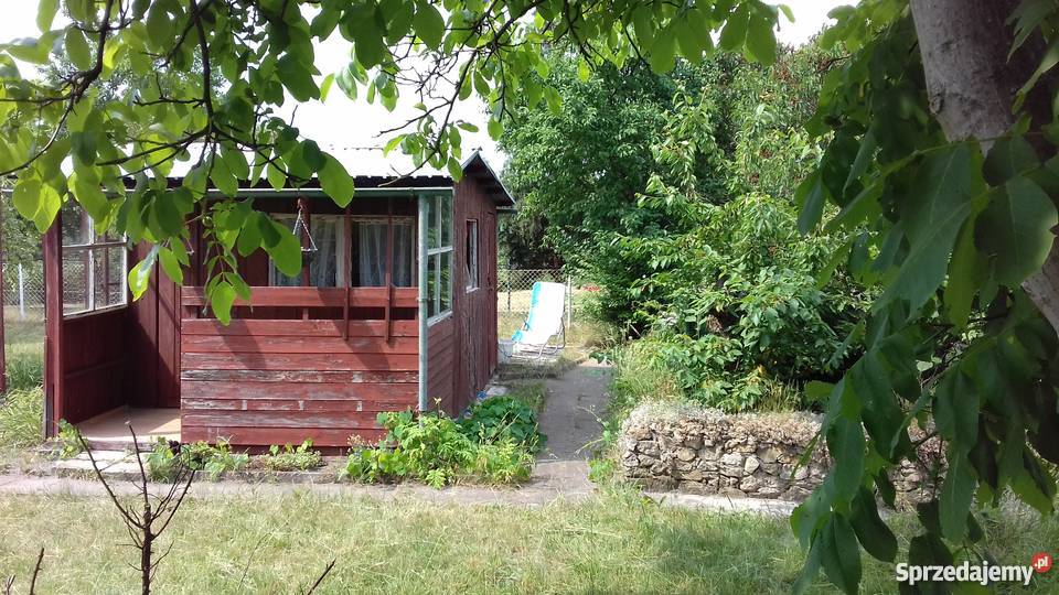 Działka ROD Stokrotka rekreacyjna 19zł/m2 Opole sprzedam