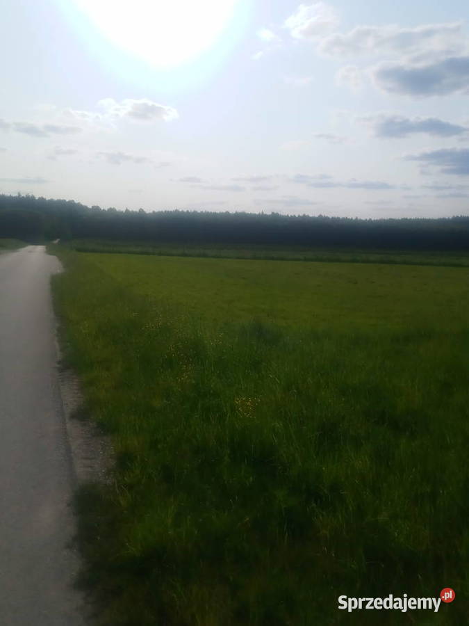 Działka rolna o powierzchni 198 hektara świętokrzyskie Potok Rządowy sprzedam