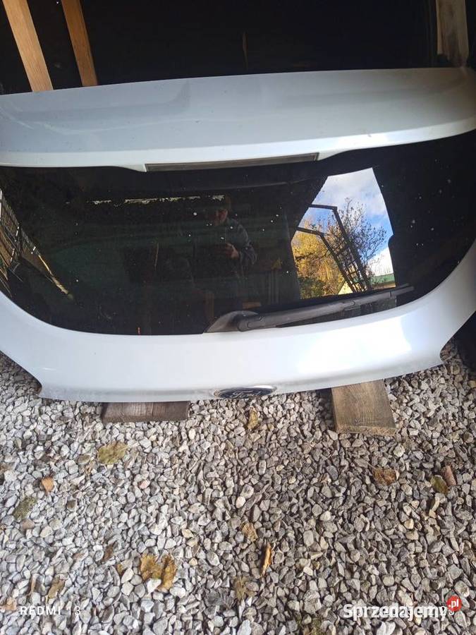 Kuga klapa lubelskie Krasnystaw