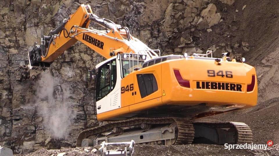 Liebherr L576 R926 Wszystkie Usuwanie Adblue DOC Kraków