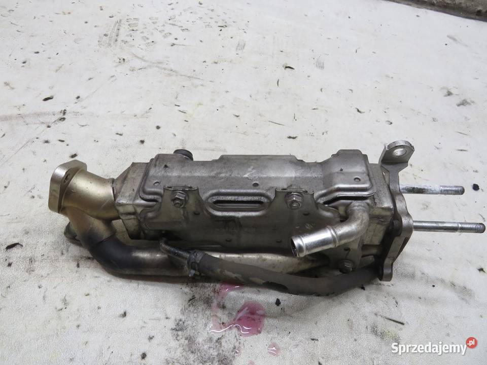 CHŁODNICA SPALIN EGR 22 ICDTI CRV III LIFT Motoryzacja