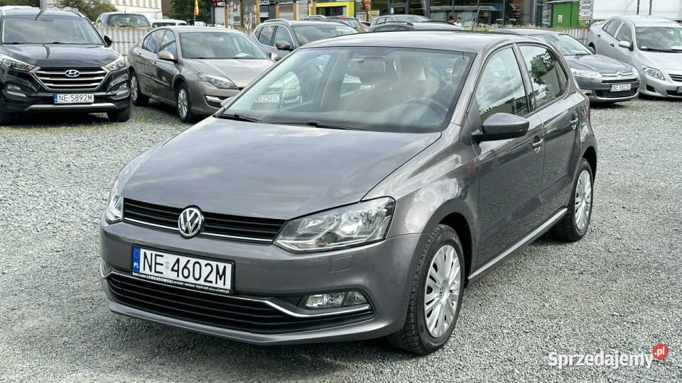 Volkswagen Polo Benzyna Zarejestrowany Elbląg