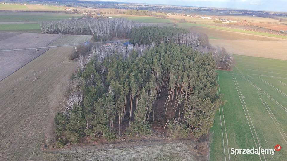 Usługi dronem zdjęcia działek inspekcje dachów Skierniewice reklama