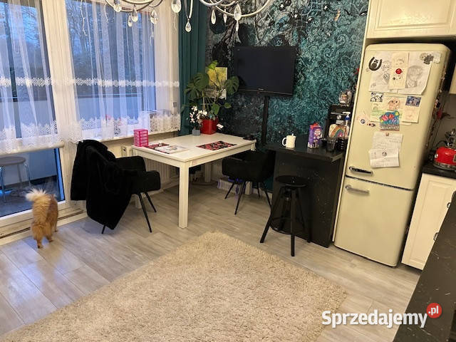 Syndyk sprzeda mieszkanie w Szczecinie Szczecin