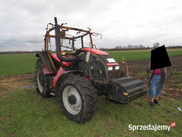 zetor forterra 124 41 Jastrzębniki