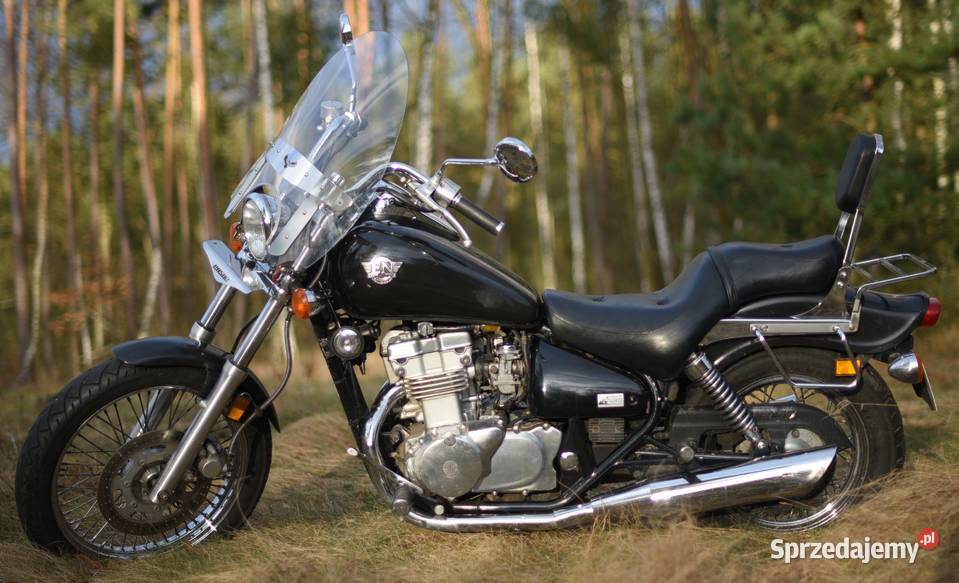 Kawasaki EN500 ubrany i gotowy do jazdy zamiana Trzebnica