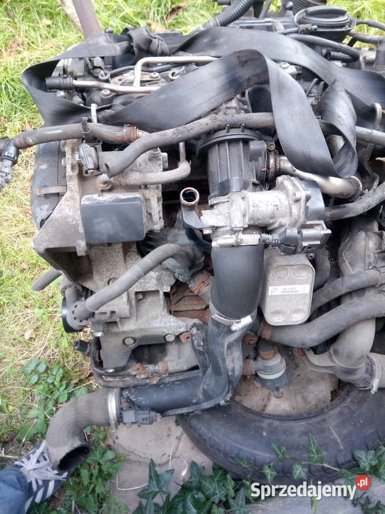 Silnik 16 tdi 105 CAY Audi Skoda Seat Vw osobowe Myszków sprzedam