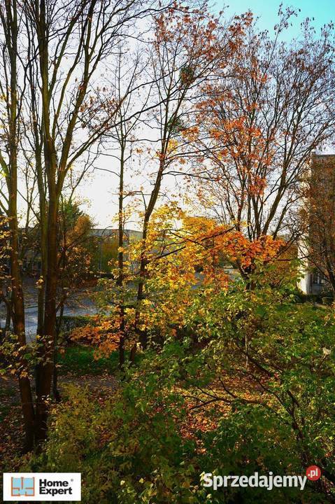 Mieszkanie parter dolnośląskie Wrocław sprzedam