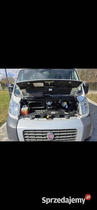 2014 Fiat Ducato L2H1 20 Multijet 115 145 Długi Lubicz Górny sprzedam