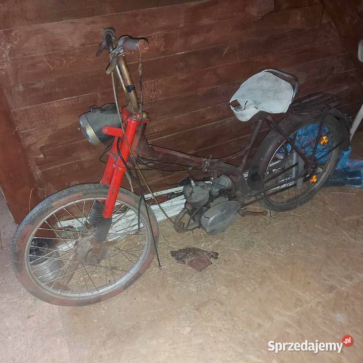 Komar 231 231b 232 sztywniak śląskie