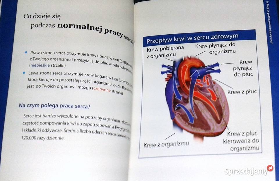Zrozumienie terapii resynchronizacji serca w lubelskie Chełm