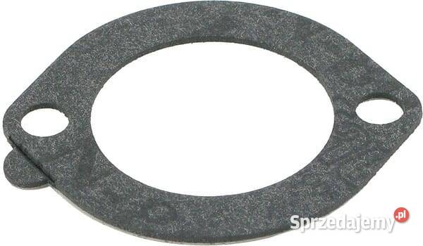 Uszczelka filtra powietrza 271935S Kamionna