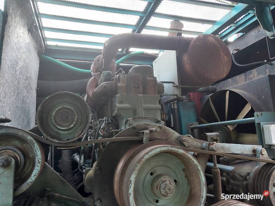 Sieczkarnia Mengele Mammut 6300 Case Jelenie