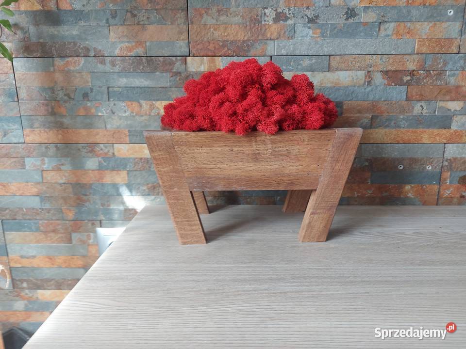 Doniczki dębowe ozdobione mchem dekoracyjnym Bielsko-Biała sprzedam