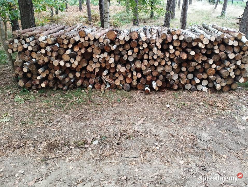 Suche drewno opałowe SOSNA BRZOZA mazowieckie Ostrołęka sprzedam