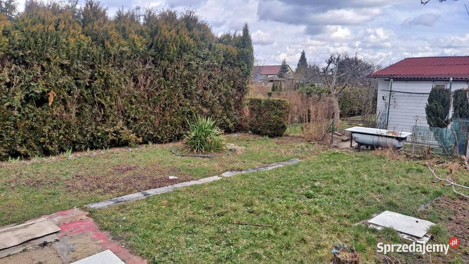 Działki Na Sprzedaż Piotrków Trybunalski Sprzedam działkę rekreacyjna Piotrków Trybunalski - Sprzedajemy.pl