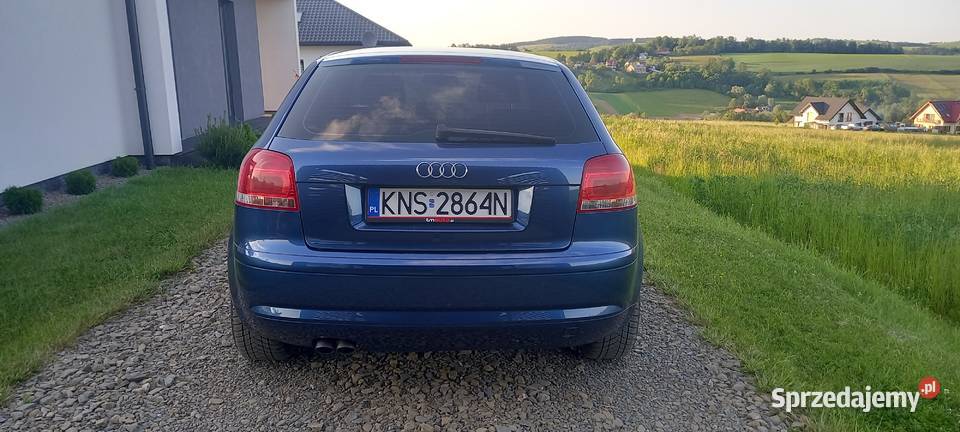 Audi a3 8p 20 tdi 140 Korzenna