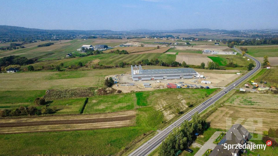 Grunt 3000m2 Czerteż
