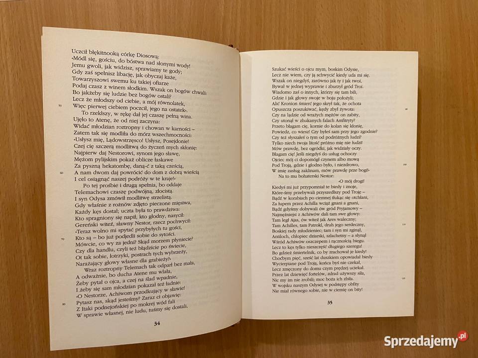 Homer Odyseja Katowice